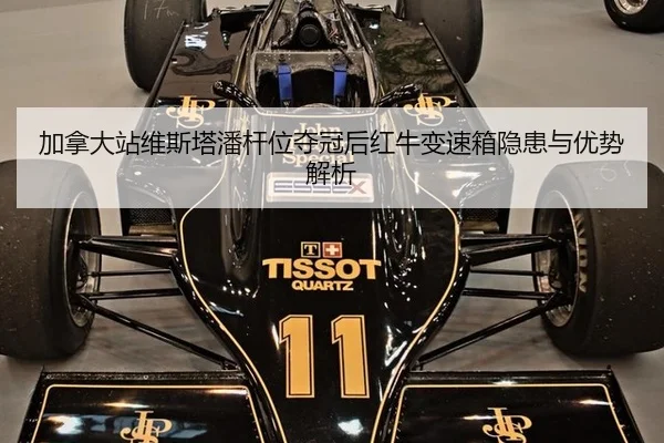 jia-na-da-zhan-wei-si-ta-pan-gan-wei-duo-guan-hou-hong-niu-bian-su-xiang-yin-huan-yu-you-shi-jie-xi-2-728.jpg