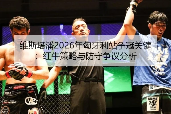 wei-si-ta-pan-nian-xiong-ya-li-zhan-zheng-guan-guan-jian-hong-niu-ce-lve-yu-fang-shou-zheng-yi-fen-xi-3-372.jpg